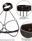 CALEXOTICS - EUPHORIA IMBRACATURA COLLETTO MULTI CATENA - CALEXOTICS - Intimo per le occasioni speciali | The Game Lingerie