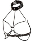 CALEXOTICS - EUPHORIA IMBRACATURA COLLETTO MULTI CATENA - CALEXOTICS - Intimo per le occasioni speciali | The Game Lingerie