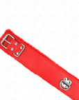KINK - COLLANA CON GUINZAGLIO 116 CM CON BORCHIE IN ARGENTO MODELLO 4 ROSSO REGOLABILE 40 - 48 CM X 6 CM - KINK COLLAR & GAG - Intimo per le occasioni speciali | The Game Lingerie