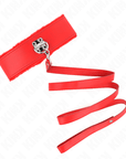 KINK - COLLANA CON GUINZAGLIO 116 CM CON BORCHIE IN ARGENTO MODELLO 4 ROSSO REGOLABILE 40 - 48 CM X 6 CM - KINK COLLAR & GAG - Intimo per le occasioni speciali | The Game Lingerie