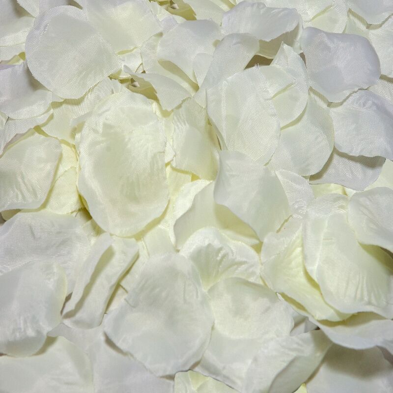 100 PETALI DI ROSA BIANCA - DIABLO PICANTE - Intimo per le occasioni speciali | The Game Lingerie