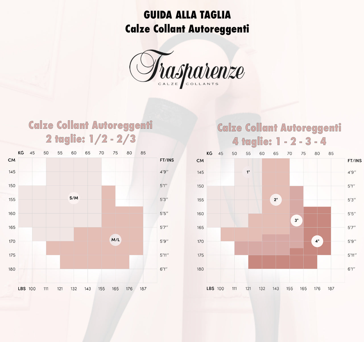 Autoreggente 30DEN con balza di pizzo - Carlotta - Trasparenze - The Game Lingerie