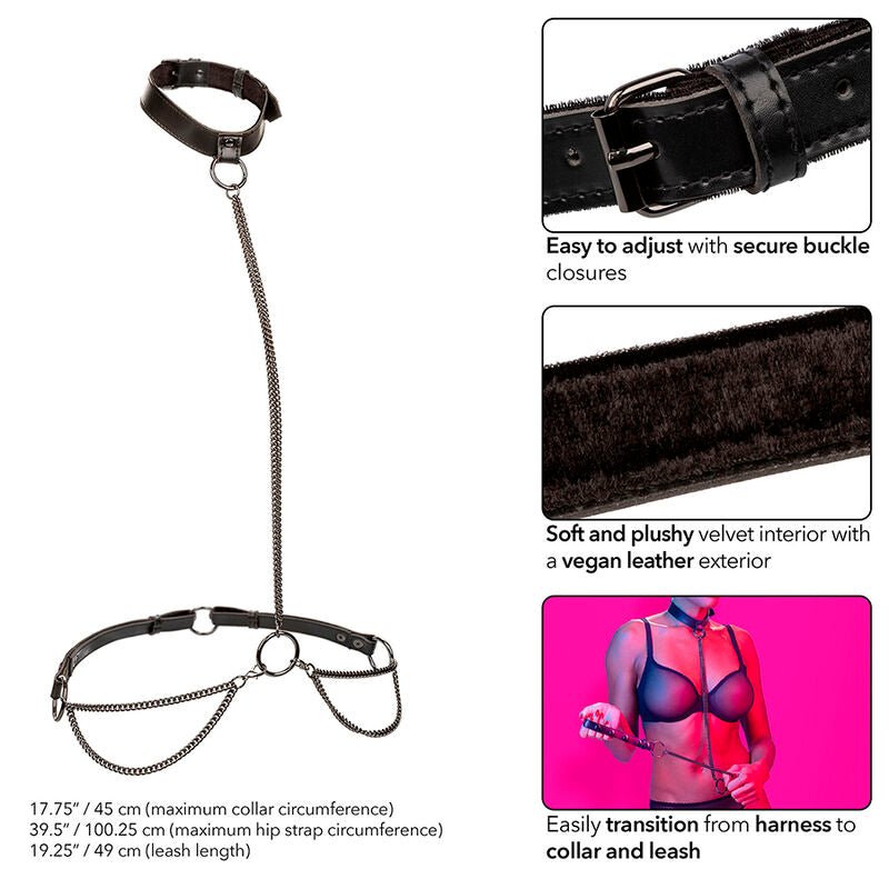 CALEXOTICS - EUPHORIA COLLARE A CATENA E GUINZAGLIO - CALEXOTICS - Intimo per le occasioni speciali | The Game Lingerie