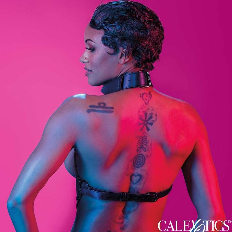 CALEXOTICS - EUPHORIA IMBRACATURA COLLETTO MULTI CATENA - CALEXOTICS - Intimo per le occasioni speciali | The Game Lingerie