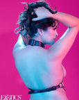 CALEXOTICS - EUPHORIA IMBRACATURA COLLETTO MULTI CATENA PLUS TAGLIA - CALEXOTICS - Intimo per le occasioni speciali | The Game Lingerie