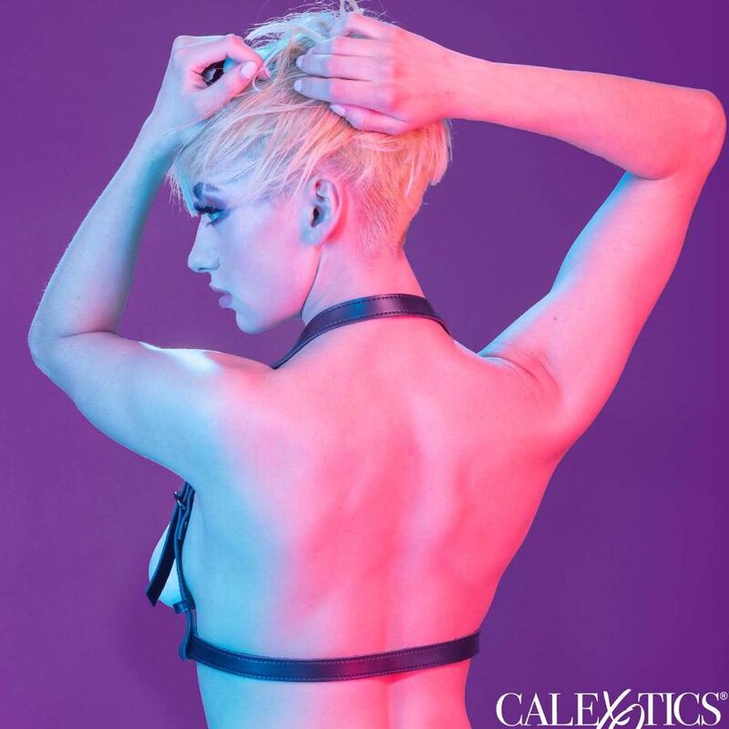CALEXOTICS - EUPHORIA IMBRACATURA CON FIBBIA HALTER NERA - CALEXOTICS - Intimo per le occasioni speciali | The Game Lingerie
