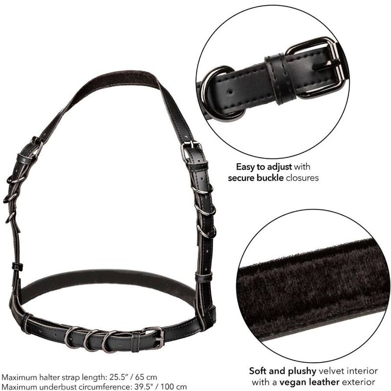 CALEXOTICS - EUPHORIA IMBRACATURA CON FIBBIA HALTER NERA - CALEXOTICS - Intimo per le occasioni speciali | The Game Lingerie