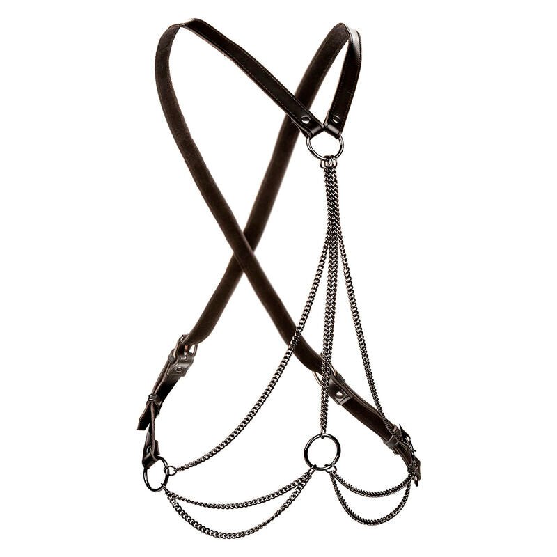 CALEXOTICS - EUPHORIA MULTICHAIN HARNESS PREMIUM - CALEXOTICS - Intimo per le occasioni speciali | The Game Lingerie