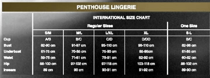 PENTHOUSE - SMOKING GUN SET DUE PEZZI - PENTHOUSE SET - Intimo per le occasioni speciali | The Game Lingerie